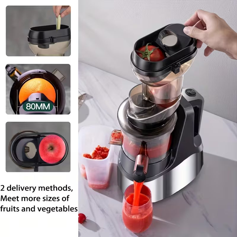 Fruit Juicer 300W (HR)