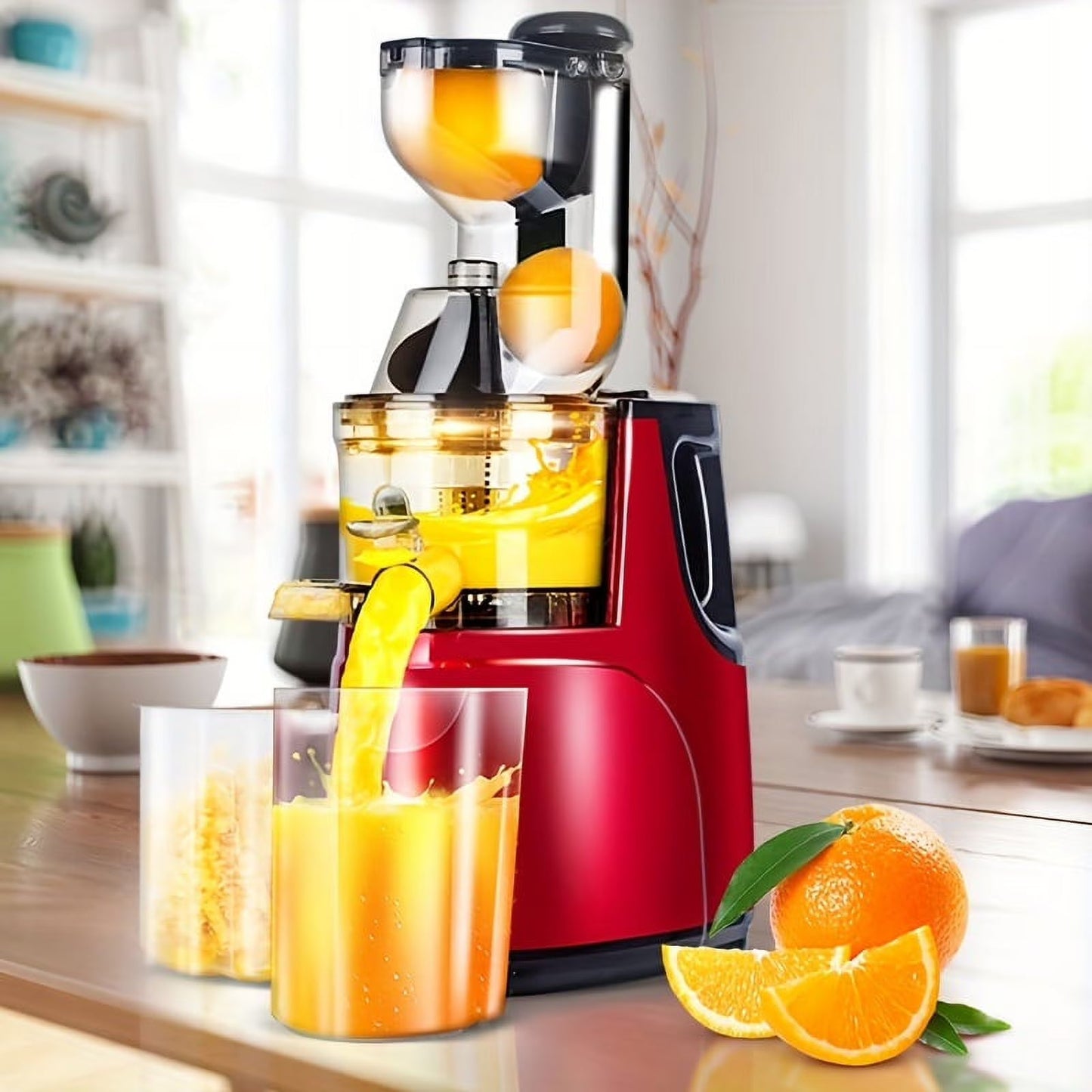 Fruit Juicer 300W (HR)