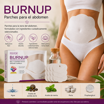 BRNUP (ES)